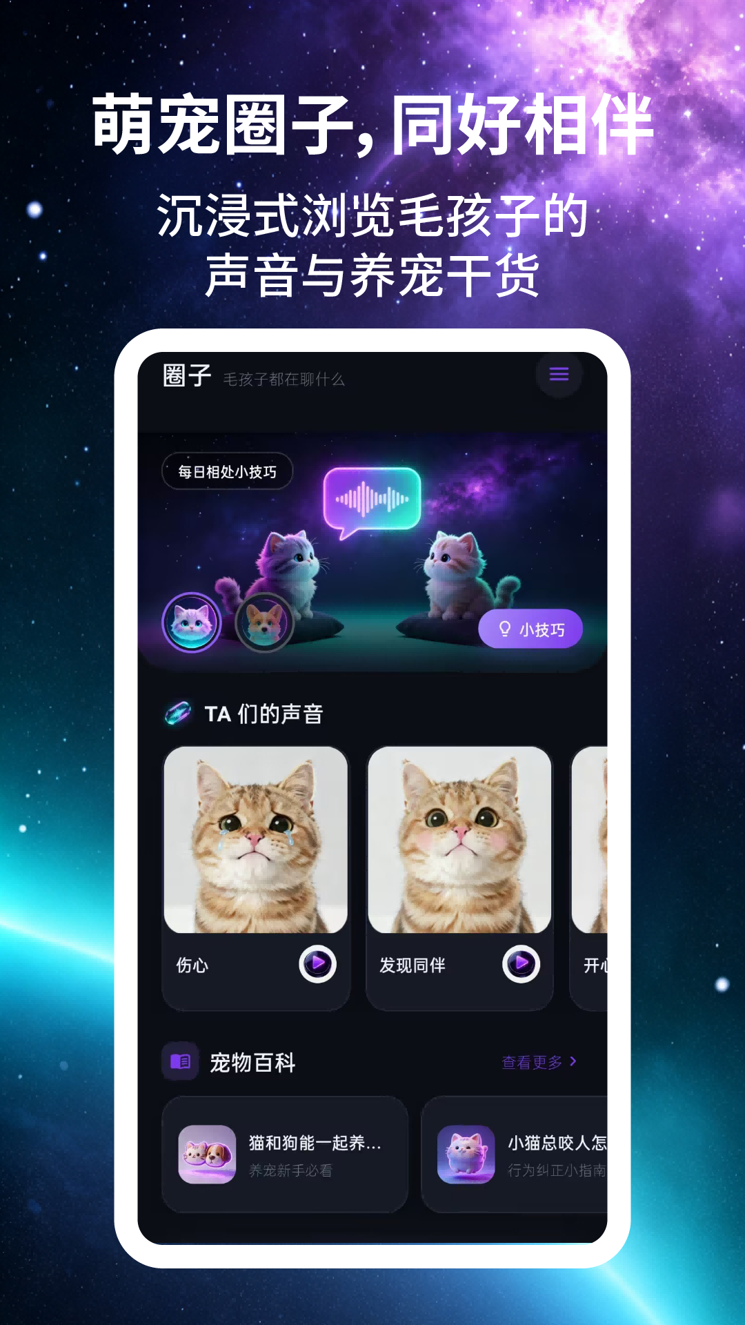 App Screenshot 4